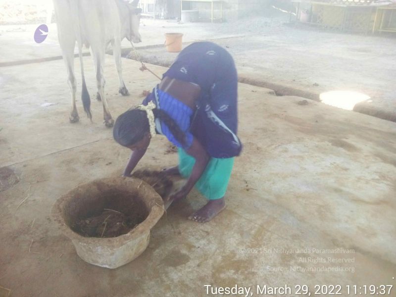 File:20220329 111936.jpg