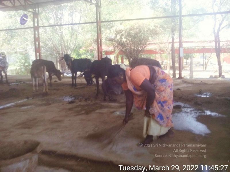 File:20220329 114526.jpg