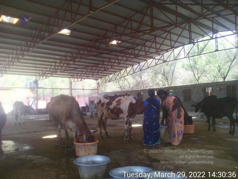 File:20220329 143035.jpg