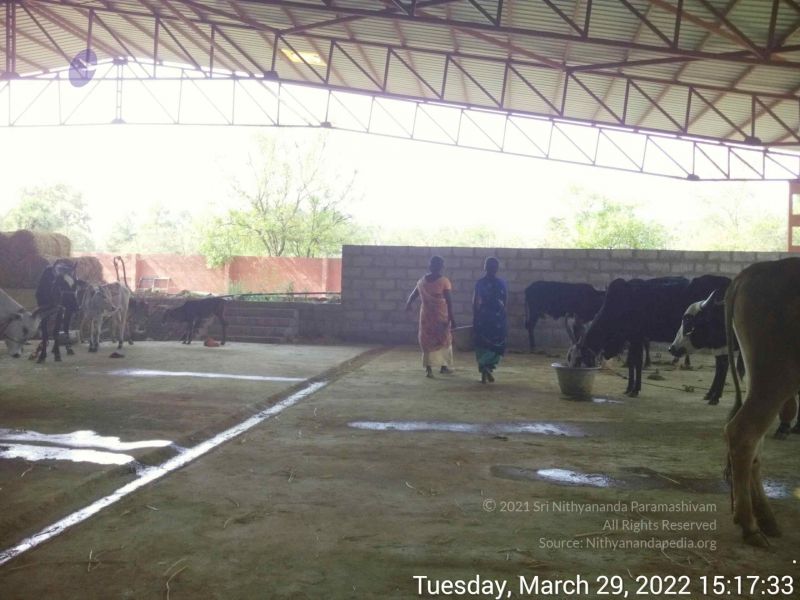 File:20220329 151733.jpg