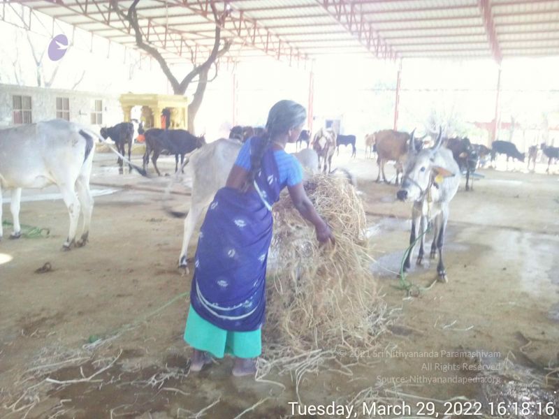 File:20220329 161815.jpg