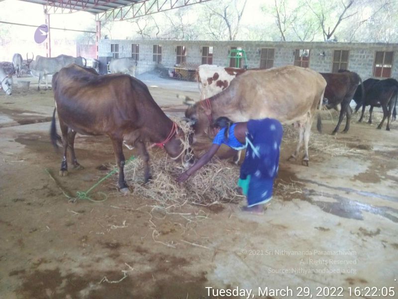 File:20220329 162204.jpg