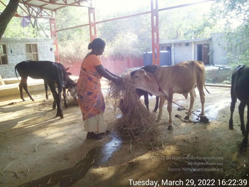 File:20220329 162238.jpg