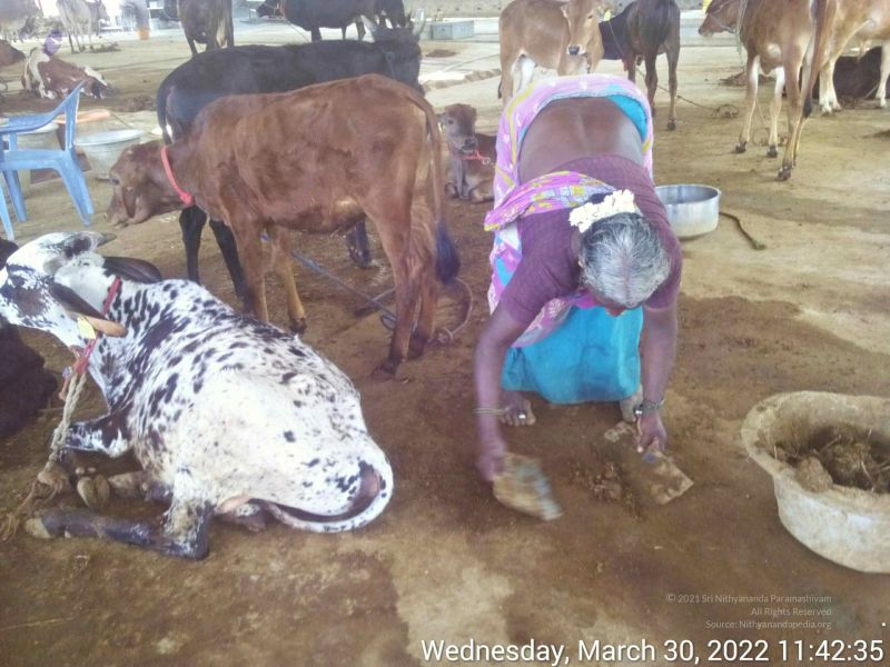 File:20220330 114234.jpg