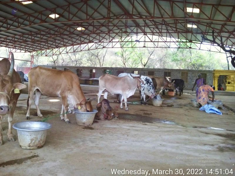 File:20220330 145104.jpg