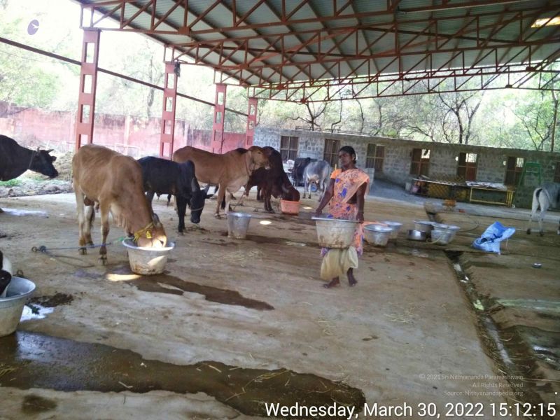 File:20220330 151215.jpg