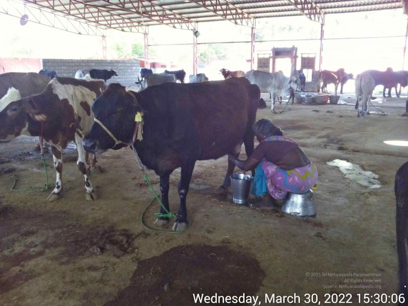 File:20220330 153006.jpg