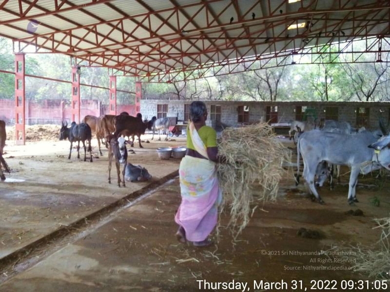 File:20220331 093104.jpg