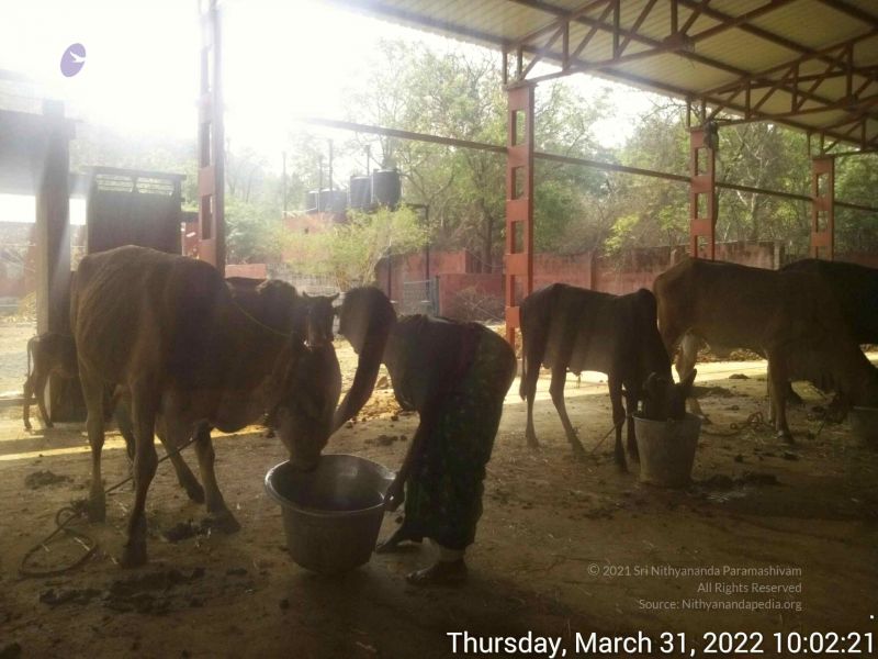 File:20220331 100220.jpg