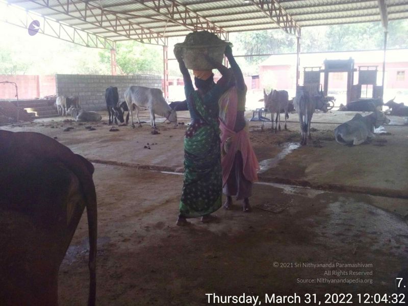 File:20220331 120432.jpg