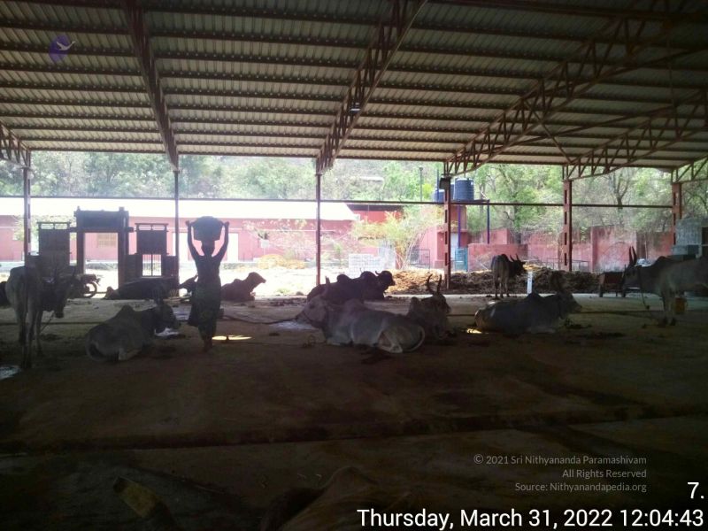 File:20220331 120442.jpg