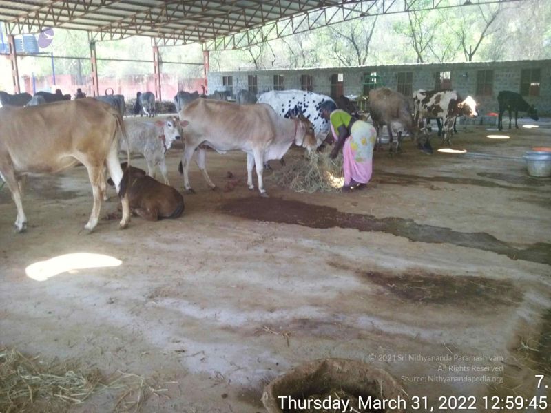 File:20220331 125945.jpg