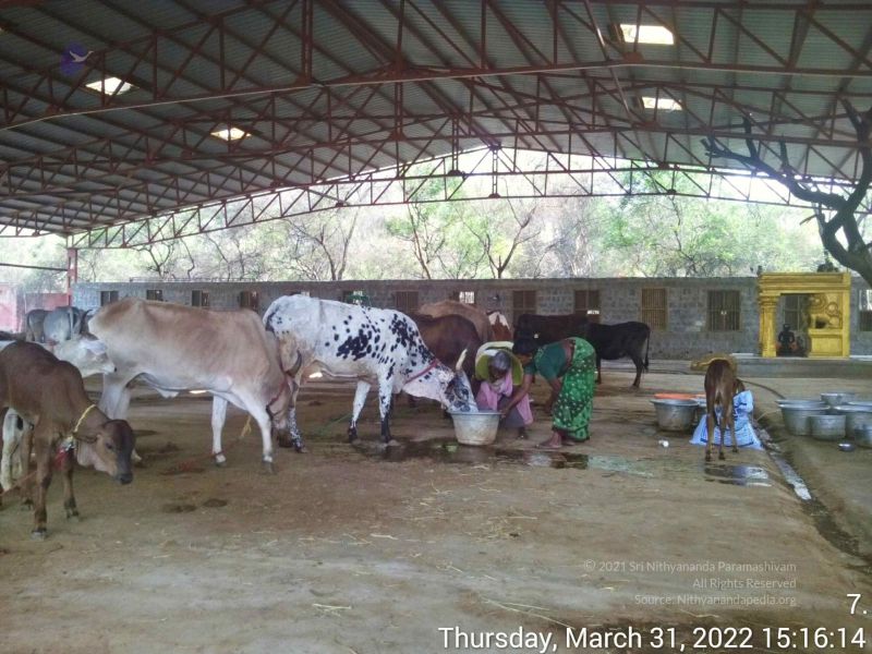 File:20220331 151614.jpg