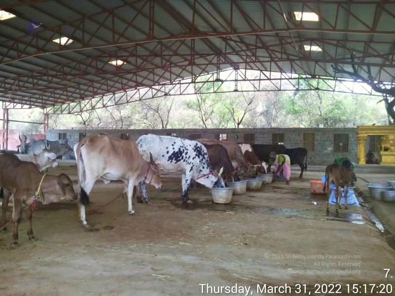 File:20220331 151719.jpg