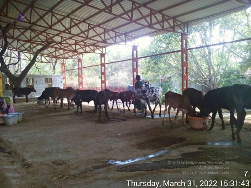 File:20220331 153142.jpg