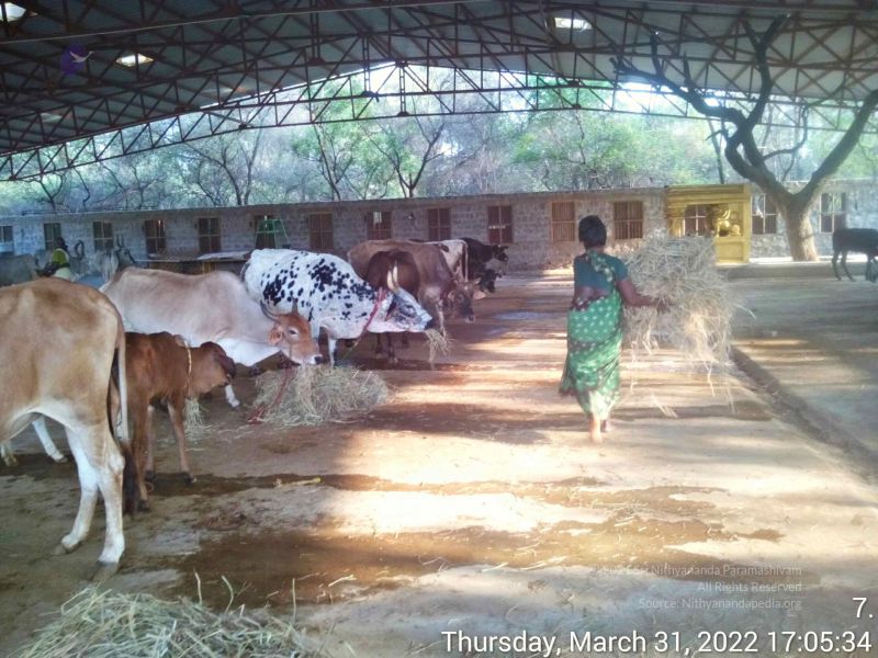 File:20220331 170534.jpg