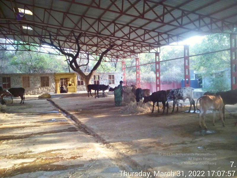 File:20220331 170756.jpg