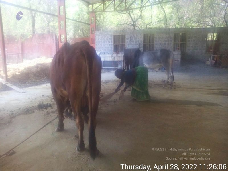 File:20220428 112606.jpg