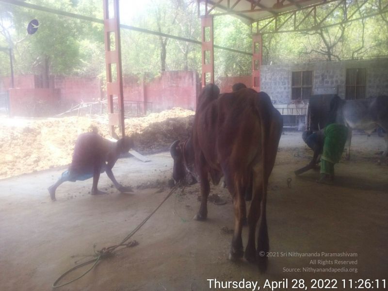 File:20220428 112610.jpg