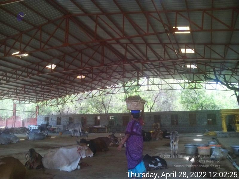 File:20220428 120224.jpg