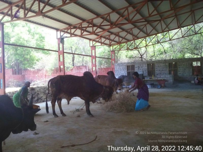 File:20220428 124539.jpg