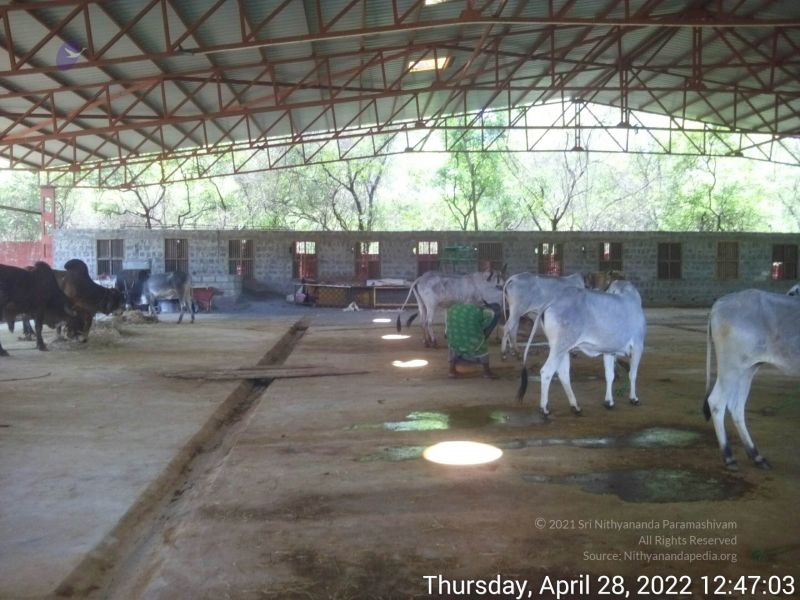 File:20220428 124702.jpg