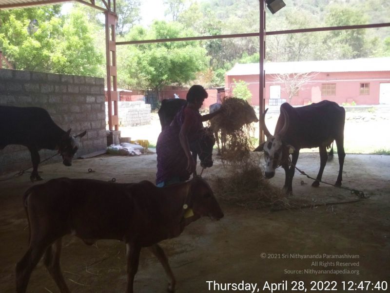 File:20220428 124740.jpg