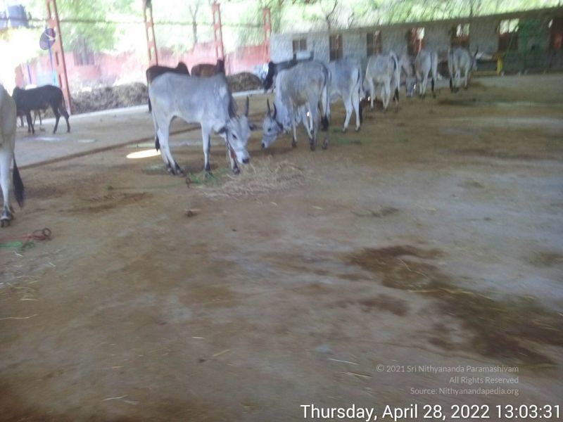 File:20220428 130331.jpg