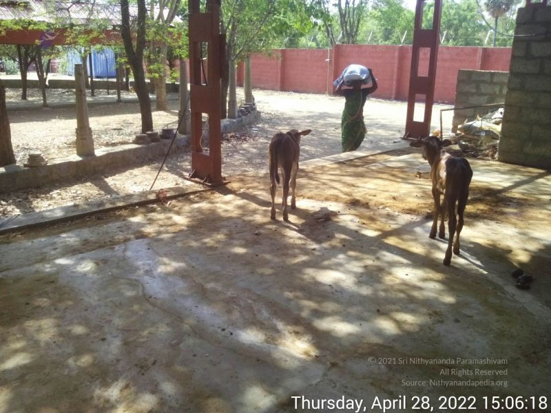 File:20220428 150617.jpg