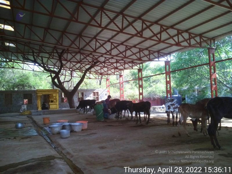 File:20220428 153610.jpg