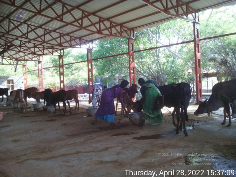 File:20220428 153709.jpg