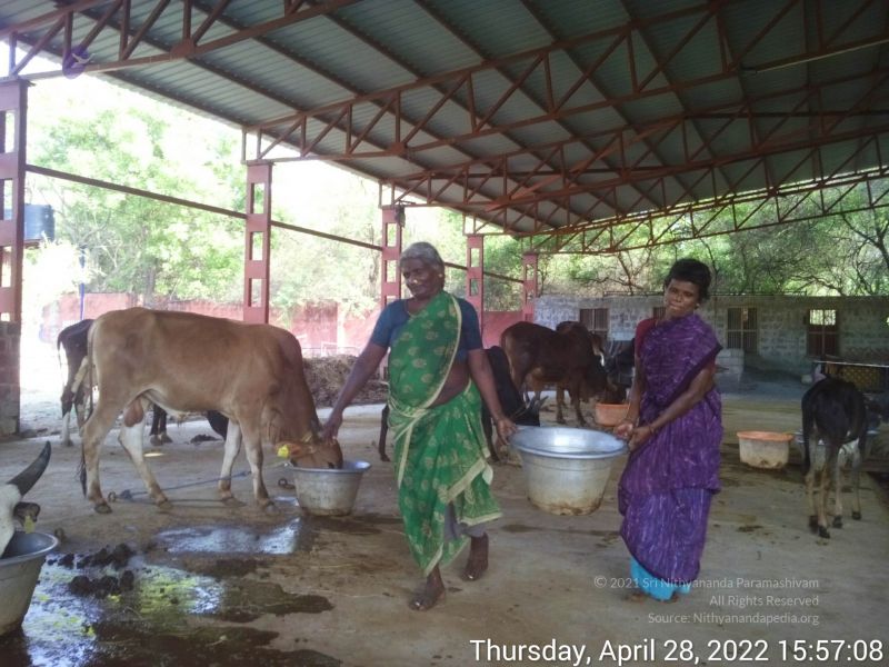 File:20220428 155707.jpg