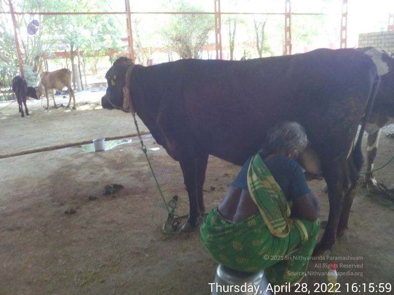 File:20220428 161558.jpg