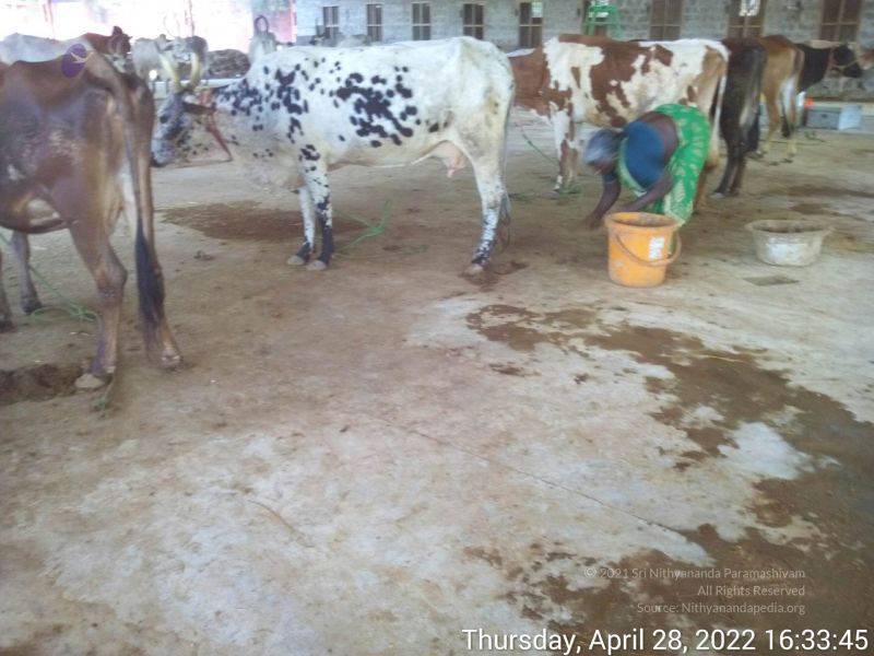 File:20220428 163345.jpg