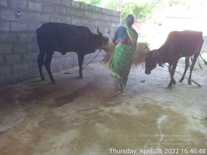 File:20220428 164647.jpg