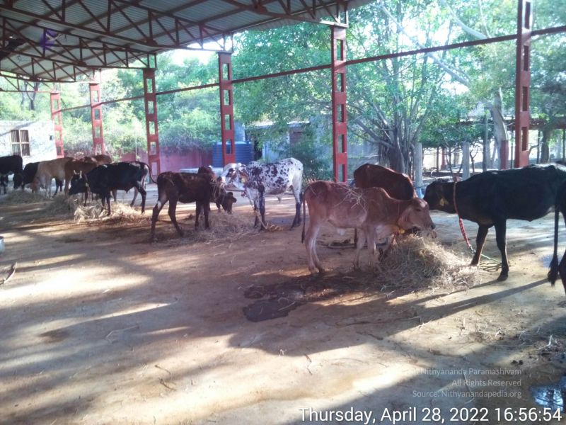 File:20220428 165653.jpg