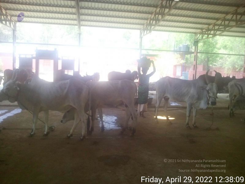 File:20220429 123809.jpg