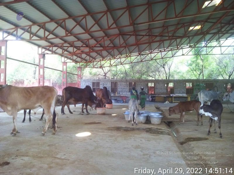 File:20220429 145114.jpg