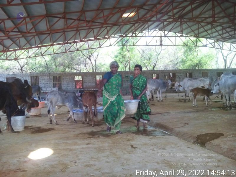 File:20220429 145413.jpg