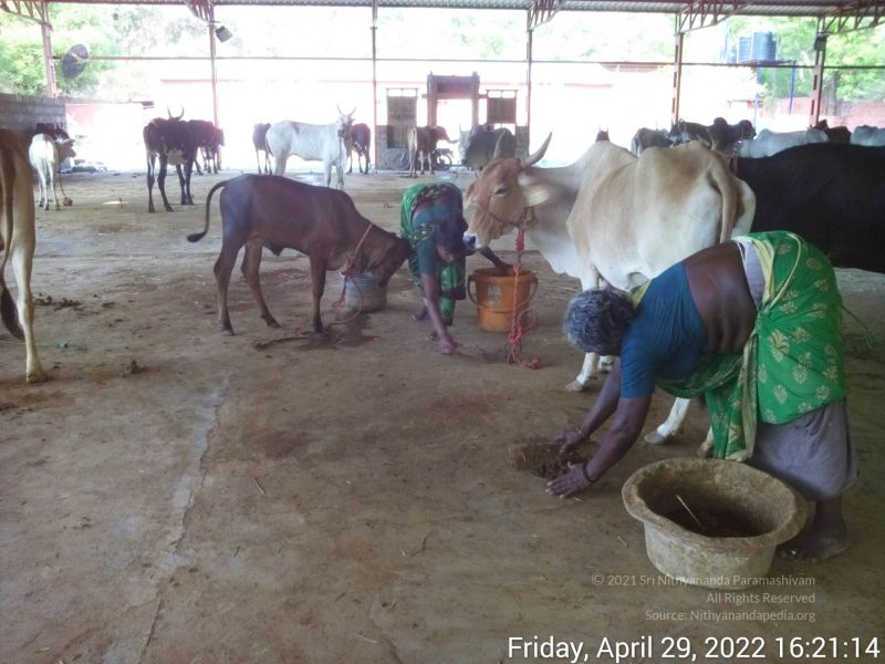 File:20220429 162114.jpg