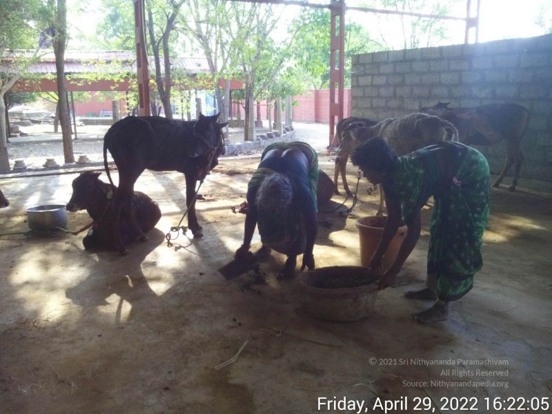 File:20220429 162204.jpg