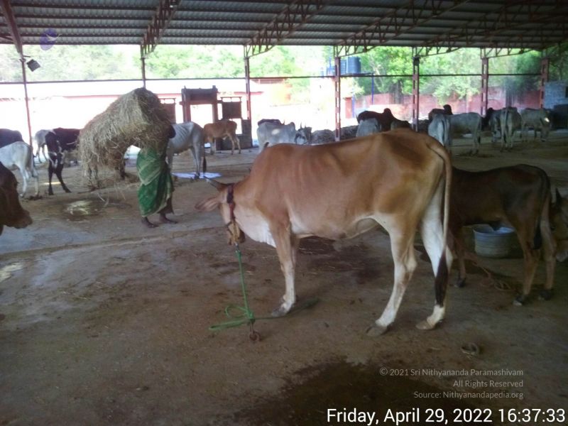 File:20220429 163733.jpg