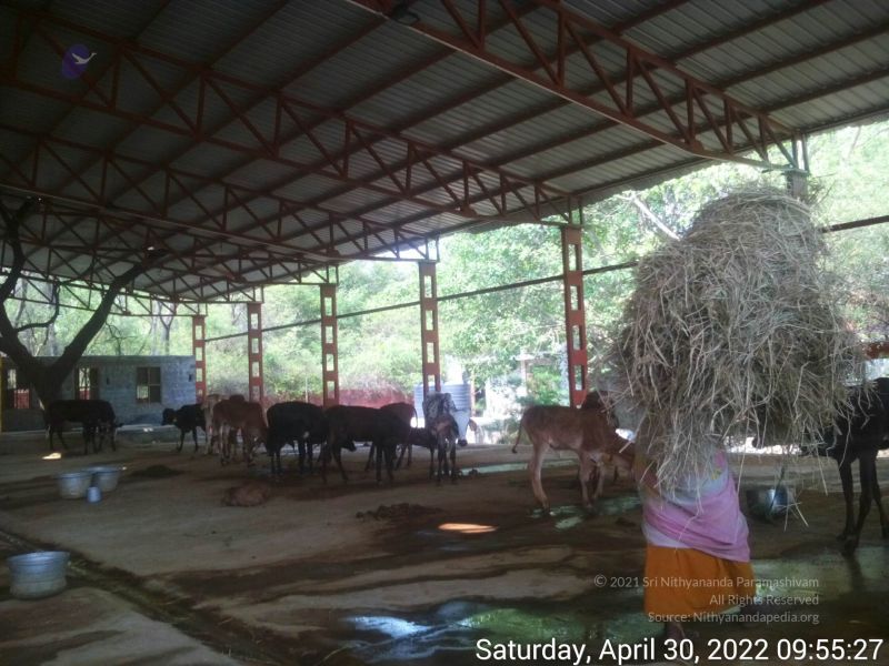 File:20220430 095527.jpg