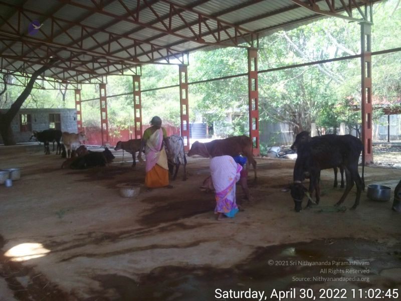 File:20220430 110245.jpg