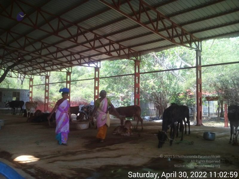 File:20220430 110258.jpg