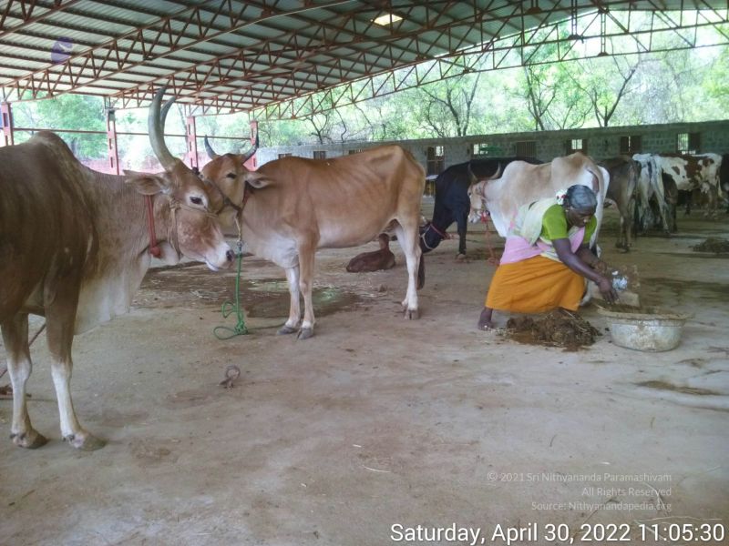 File:20220430 110530.jpg