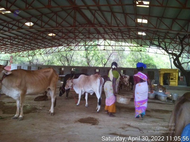 File:20220430 110555.jpg