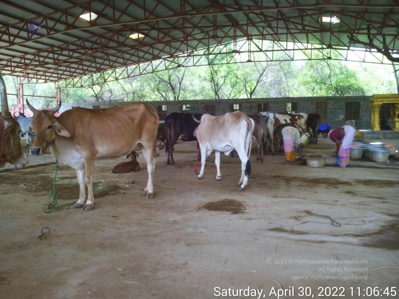 File:20220430 110644.jpg