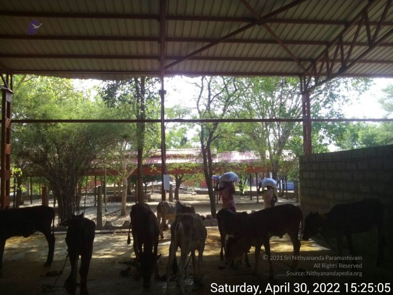 File:20220430 152505.jpg