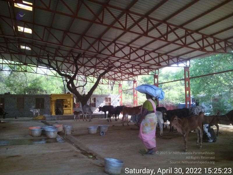 File:20220430 152523.jpg